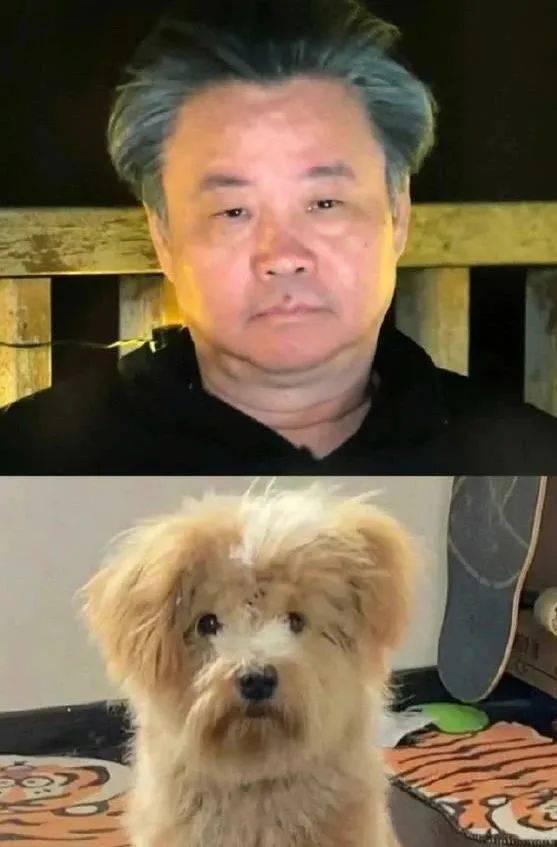 朋友圈刷屏的 emo 大叔，怎么成了年轻人的嘴替