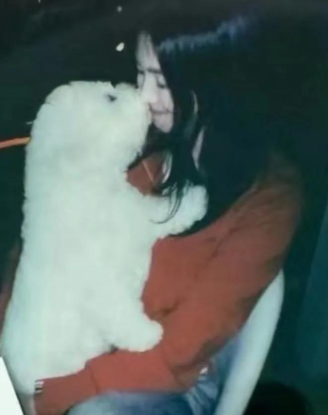 宋慧乔为好友庆生：红衣牛仔裤显俏皮，怀抱爱犬好开心