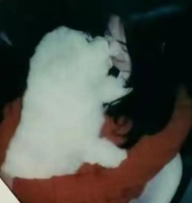 宋慧乔为好友庆生：红衣牛仔裤显俏皮，怀抱爱犬好开心