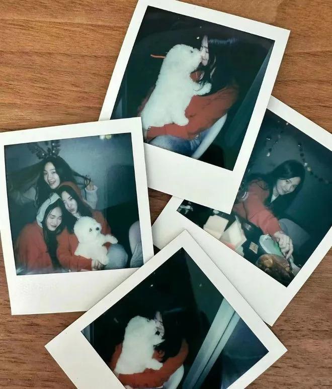 宋慧乔为好友庆生：红衣牛仔裤显俏皮，怀抱爱犬好开心
