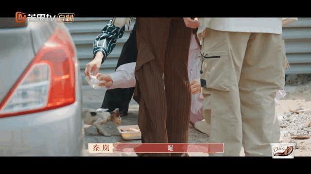 姐姐回归，人设全崩塌