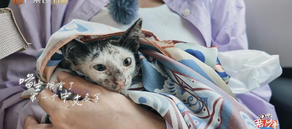 姐姐回归，人设全崩塌