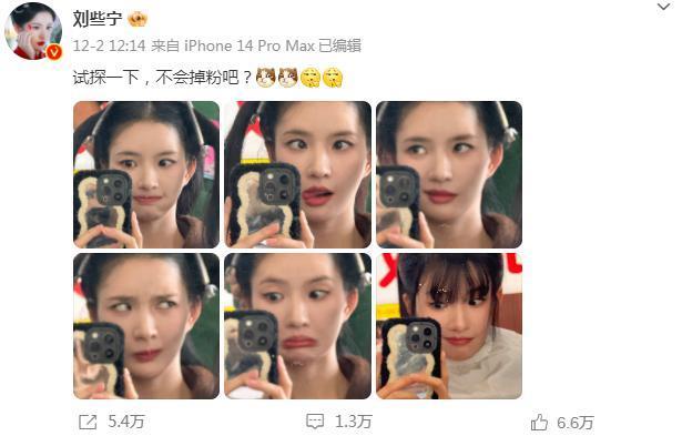 卧龙与凤雏并存，我的宝藏神综回来了！