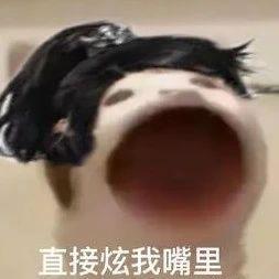 卧龙与凤雏并存，我的宝藏神综回来了！