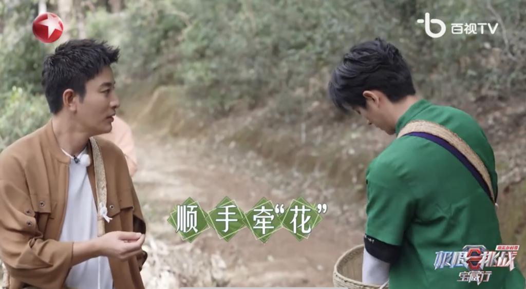 卧龙与凤雏并存，我的宝藏神综回来了！