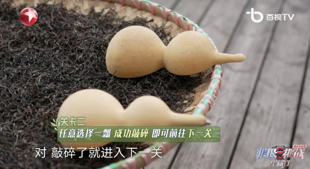 卧龙与凤雏并存，我的宝藏神综回来了！