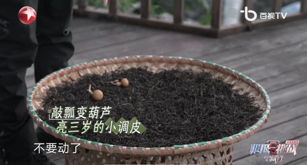 卧龙与凤雏并存，我的宝藏神综回来了！