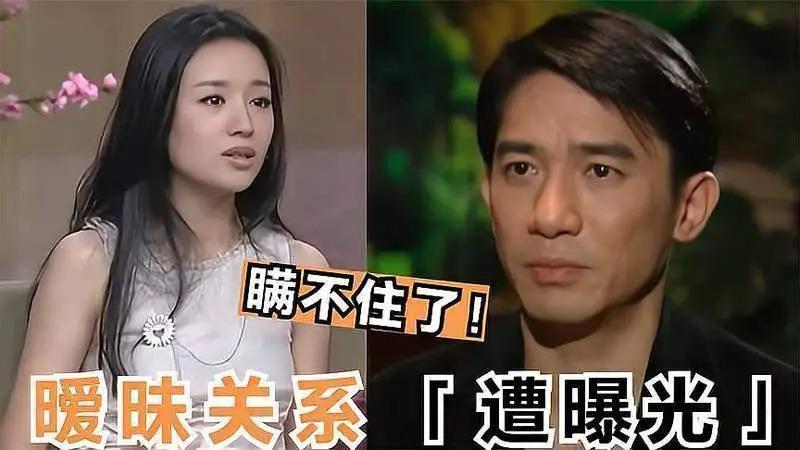 董洁被曝恋上鲜肉富二代！婚内出轨王大治的她情史太混乱