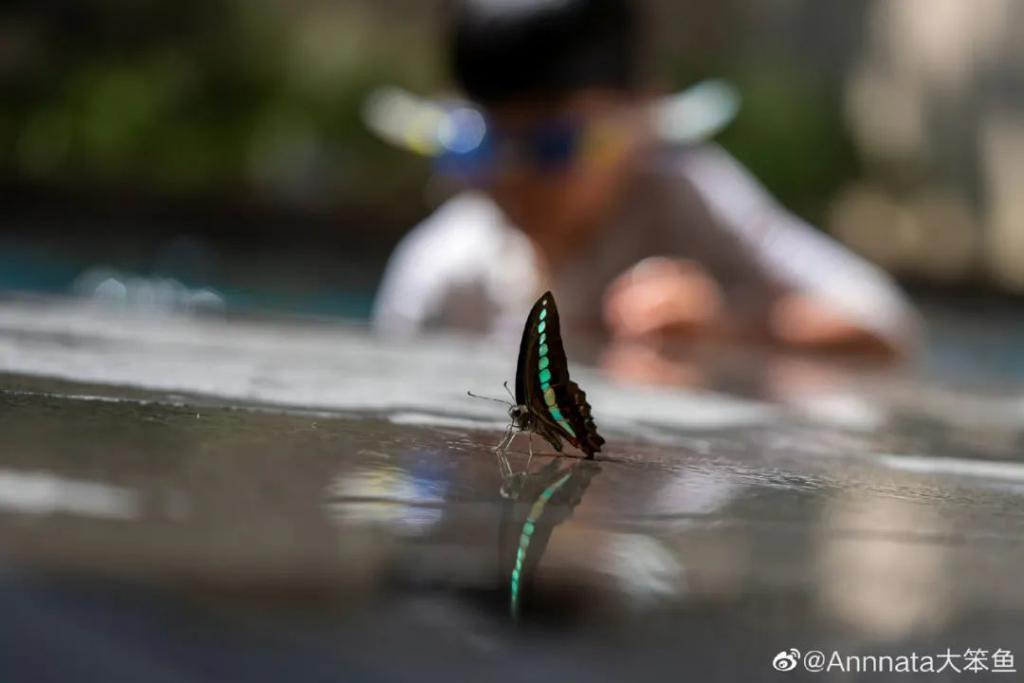 刘若英：已分居，还没离
