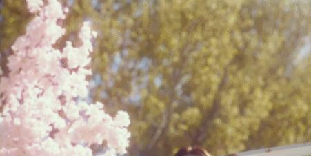 这尺度，这阵容！一集锁定年度最猛…