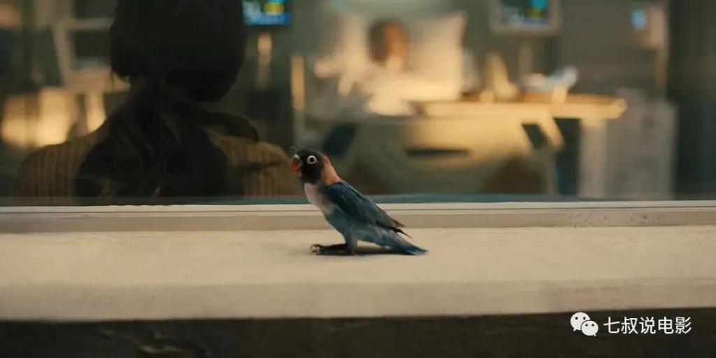 吴宇森的枪,这次又哑火了