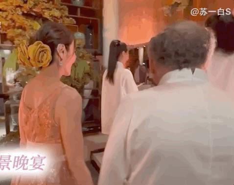 杨紫琼回大马补办婚宴，都来了哪些名流？