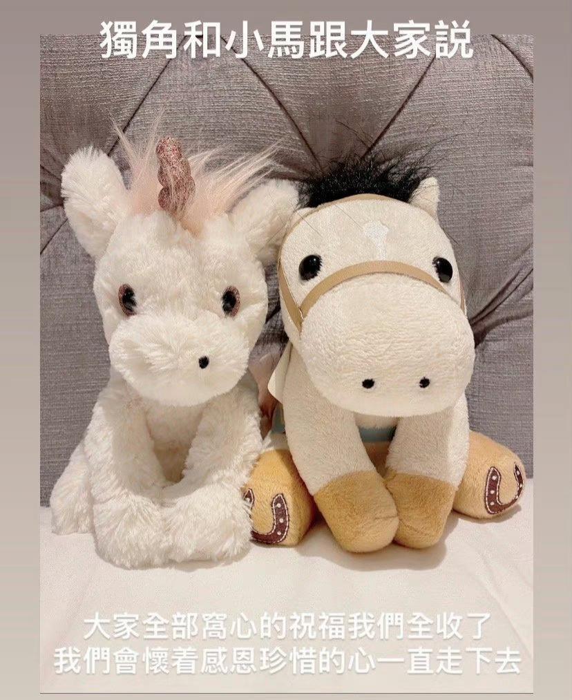 木讷钻石王老五娶内向星二代，婚恋市场上的“时间点”