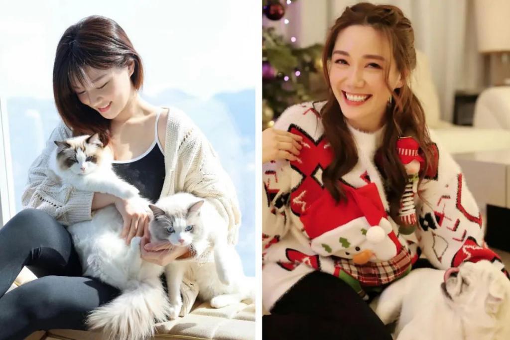 木讷钻石王老五娶内向星二代，婚恋市场上的“时间点”