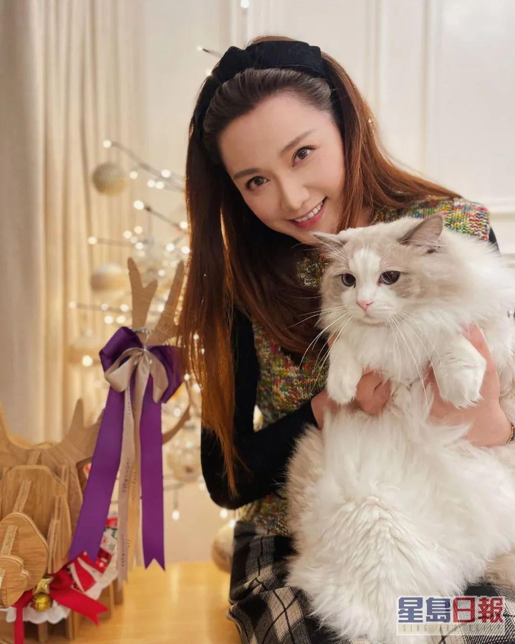 木讷钻石王老五娶内向星二代，婚恋市场上的“时间点”