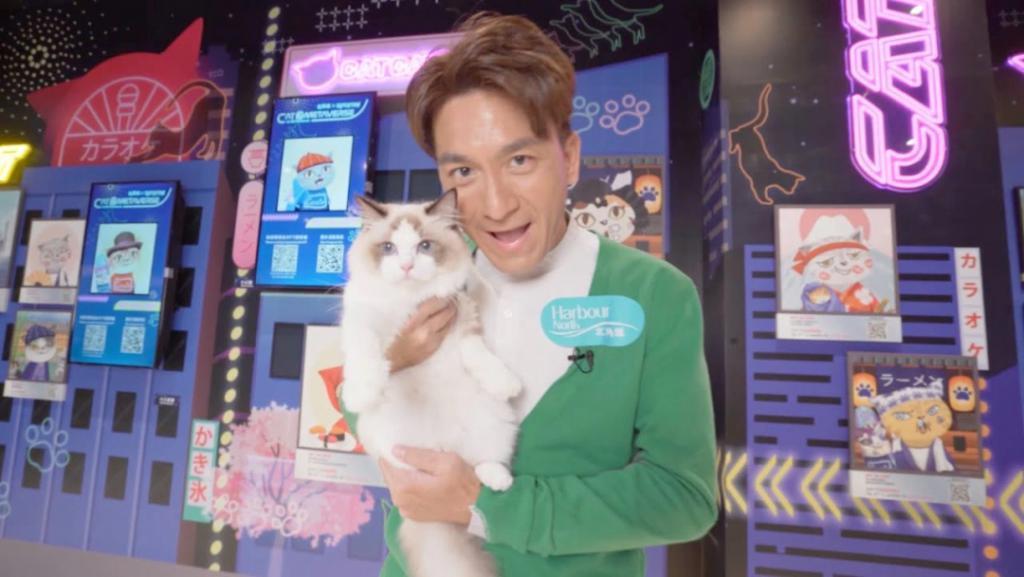 木讷钻石王老五娶内向星二代，婚恋市场上的“时间点”