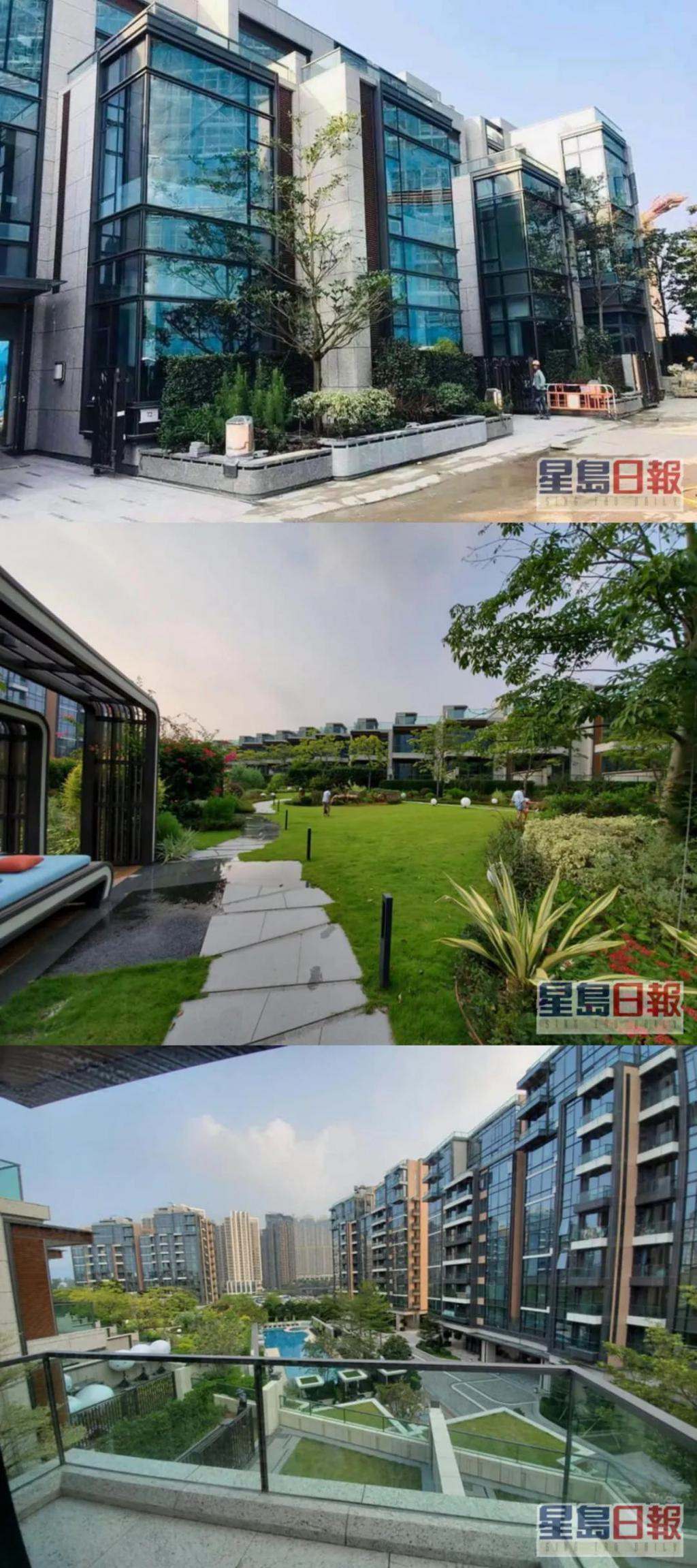 木讷钻石王老五娶内向星二代，婚恋市场上的“时间点”