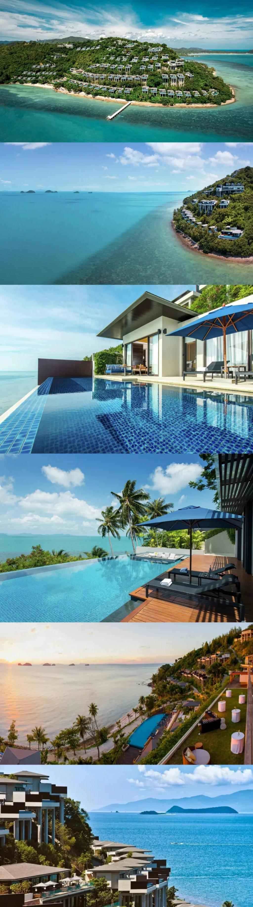 木讷钻石王老五娶内向星二代，婚恋市场上的“时间点”