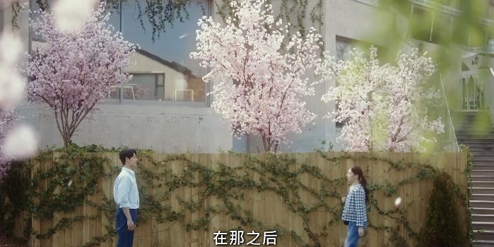 这部奇葩缝合剧，一夜爆红了