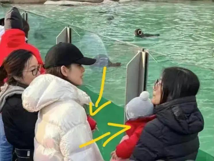 章泽天二胎首曝光，儿女双全移居伦敦，刘强东一人留国内打拼