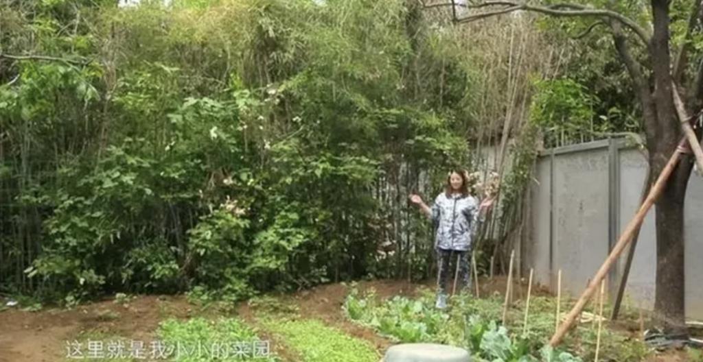 周海媚死因公布：原来大家都猜错了！姐姐透露一件事让人愤慨