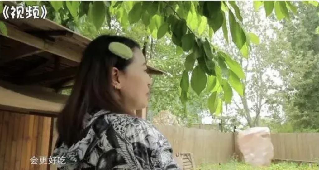 周海媚死因公布：原来大家都猜错了！姐姐透露一件事让人愤慨