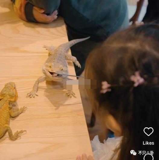 这对儿居然和好了？没离婚还计划拼二胎！