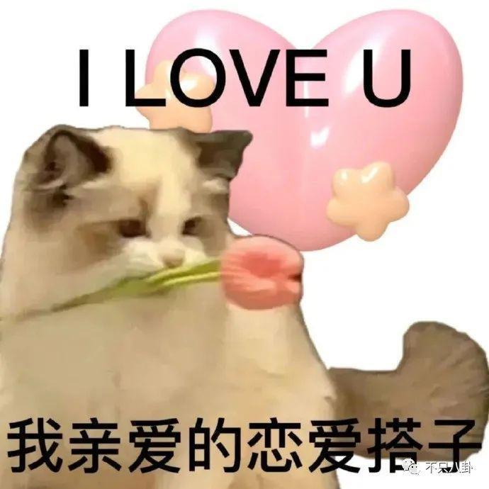 藏得这么好？他俩竟然悄悄谈了5年半的恋爱……