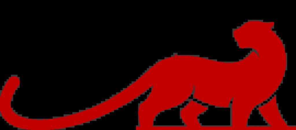 雷军100亿造车，有多少米粉高攀得起？