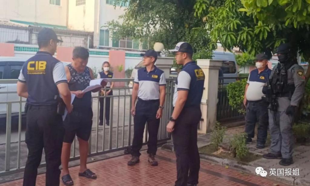 富商雇凶杀妻儿，遇上顶级蠢蛋团队！沟通不畅酿乌龙，杀手：钱难挣屎难吃！