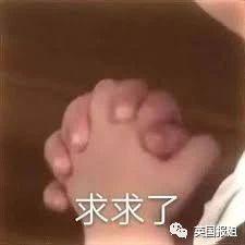 富商雇凶杀妻儿，遇上顶级蠢蛋团队！沟通不畅酿乌龙，杀手：钱难挣屎难吃！