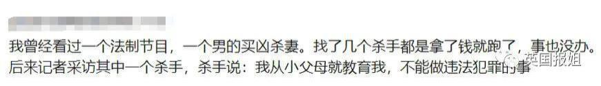 富商雇凶杀妻儿，遇上顶级蠢蛋团队！沟通不畅酿乌龙，杀手：钱难挣屎难吃！