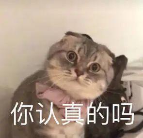 只卖749元，小米刚刚发布的这手机，绝对是来捣乱的