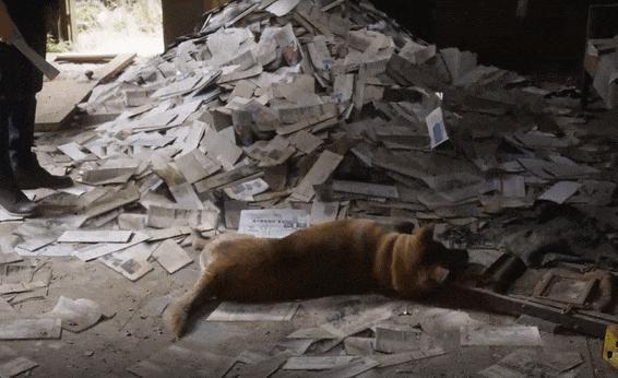 7.9到3.6，许光汉又被坑了