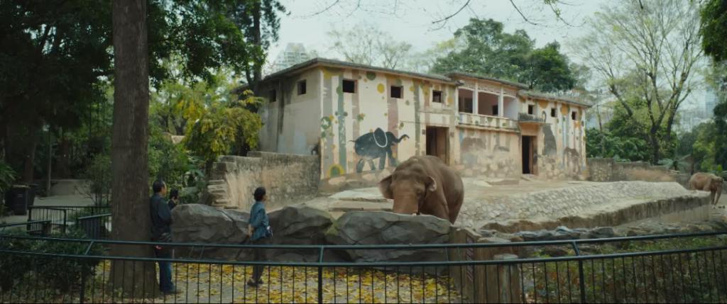 7.9到3.6，许光汉又被坑了