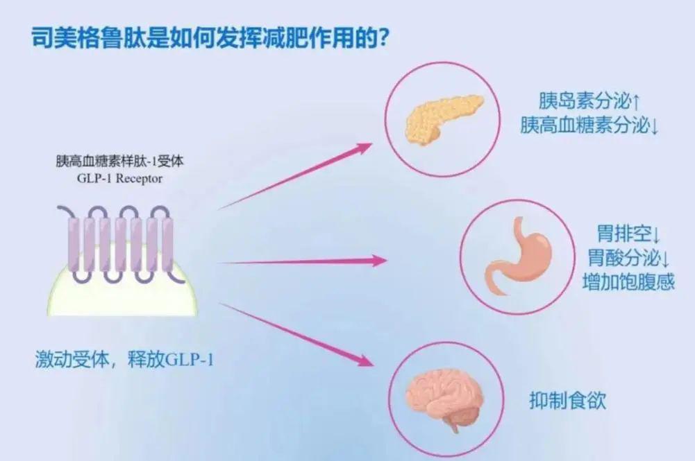 打一针瘦 10 斤？“网红减肥针”爆火！