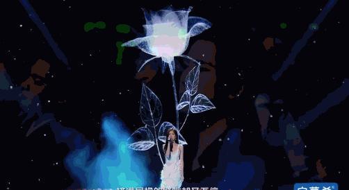 佘诗曼秦岚杨幂都爱，她们管这颗头叫“朵拉”