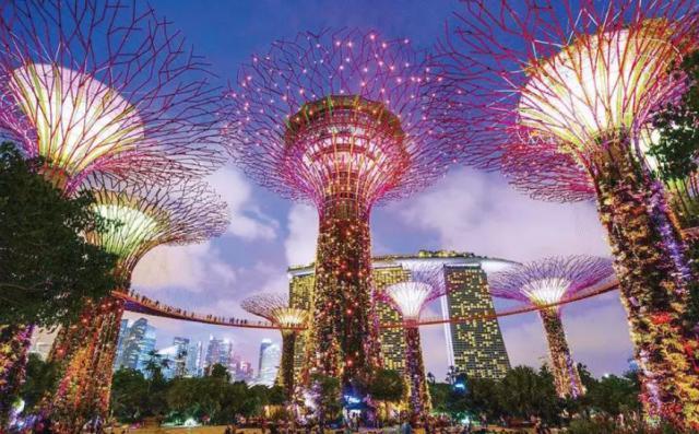 英伟达15%的营收来自一个小国 为何新加坡需要那么多芯片？