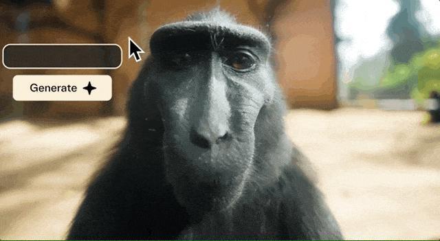 哈佛本硕、高考710，A股上市公司老板“父凭女贵”？