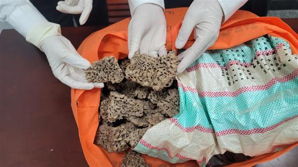 2023 年度 QQ 音乐听歌报告上线，看看你的年度歌单有什么