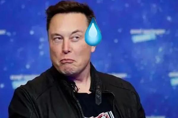 2023，中国车企卷死特斯拉