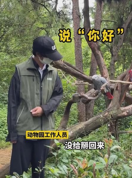 为了加入小米造车团队 很多人自愿降薪降职