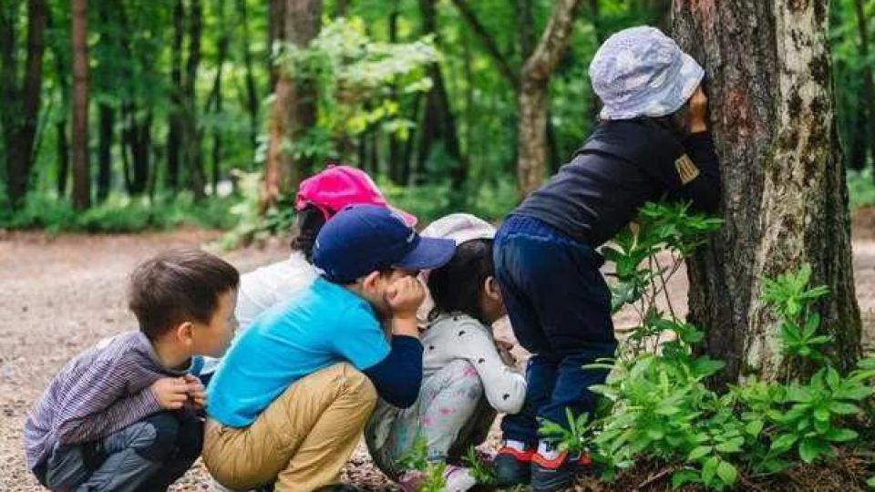 夏令营较量30年，中日孩子谁赢了?