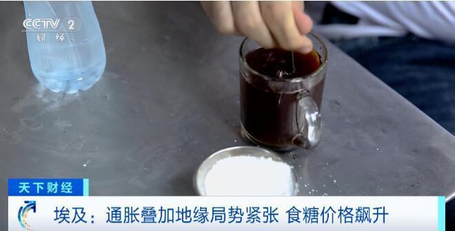 最新发现！蝇类，可能参与禽流感病毒传播