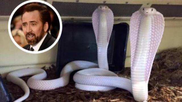 顶级影帝宣布退出影坛：红火，潦倒过…