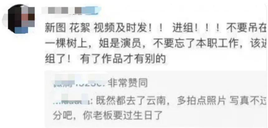 刘诗诗，一次失望的复出