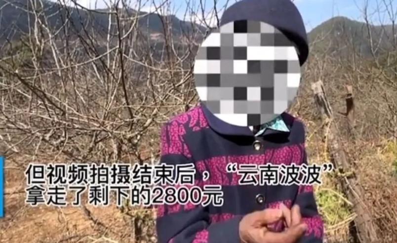 大快人心！百万粉丝网红被判刑
