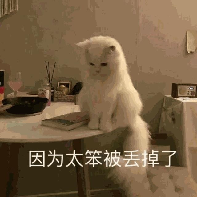 贴 “ 拆 ” 字求暴富，外国人学到精髓了！
