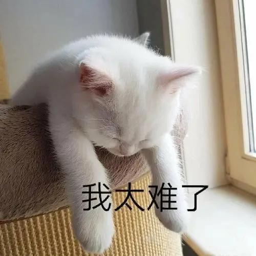 俄罗斯的第一台全自主电车，咋还不如国内的“剁椒鱼头”呢。。。