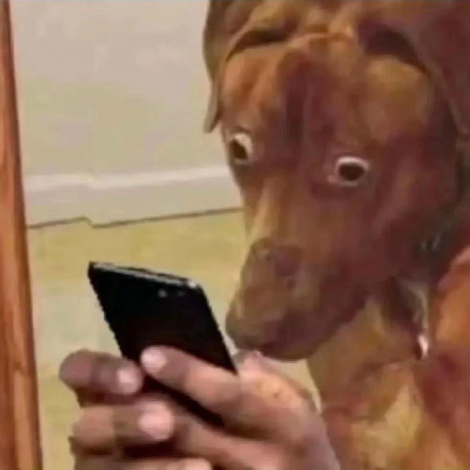 我找到了3块钱发快递的路子，却不希望你用。